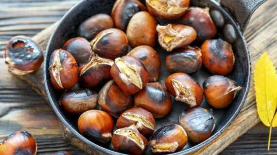 Roasted chestnuts: A typical autumn delicacy!