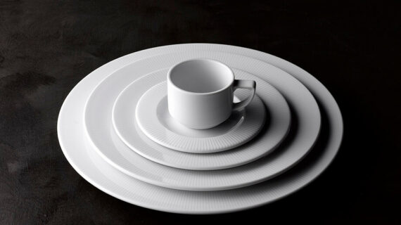 Professional Porcelain: Resistance and Elegance in one single piece!