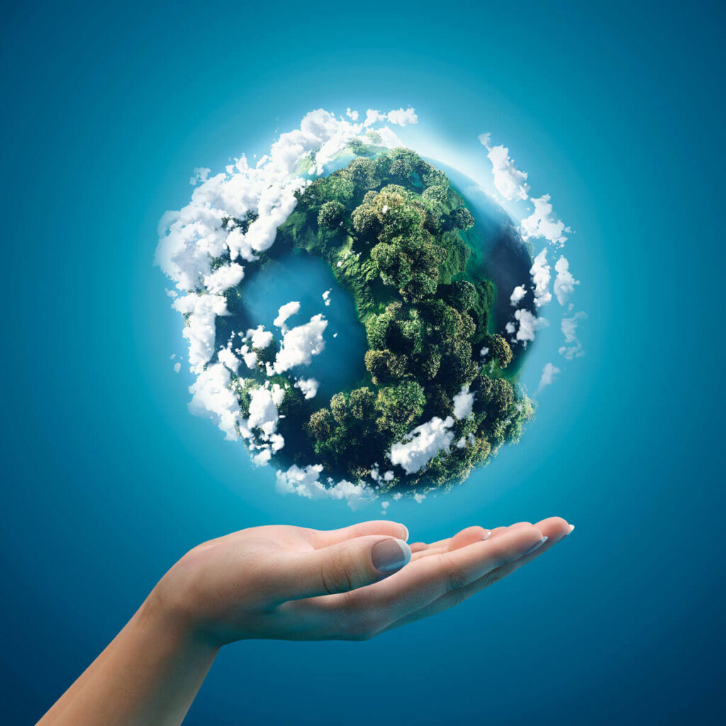 Certificada pela ISO 14001 – Sistema de Gestão Ambiental, a Costa Verde contribui de forma ativa para a preservação do ambiente. Saiba mais!