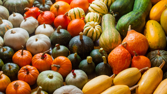 Alimentos del otoño y sus beneficios por Lia Faria